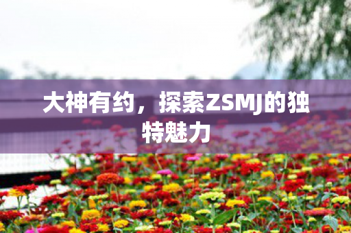 大神有约，探索ZSMJ的独特魅力