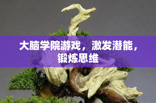 大脑学院游戏，激发潜能，锻炼思维