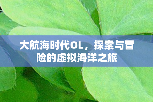 大航海时代OL，探索与冒险的虚拟海洋之旅