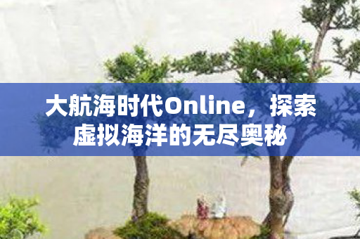 大航海时代Online，探索虚拟海洋的无尽奥秘