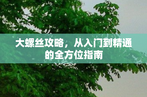 大螺丝攻略，从入门到精通的全方位指南