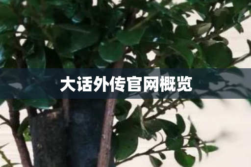 大话外传官网概览 大话外传官网概览