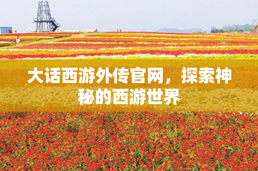 大话西游外传官网,探索神秘的西游世界 大话西游外传官网,探索神秘的西游世界
