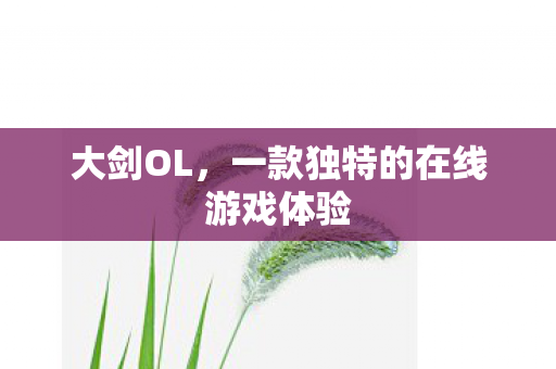 大剑OL，一款独特的在线游戏体验
