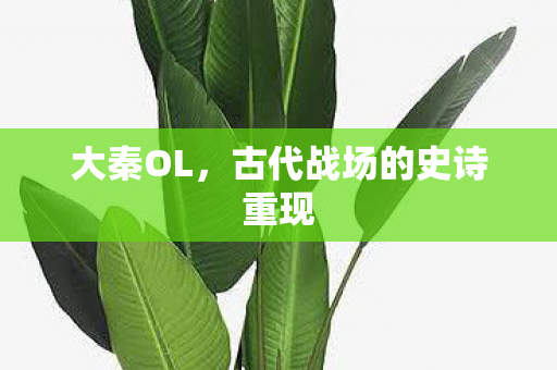 大秦OL，古代战场的史诗重现