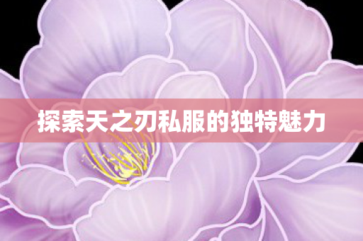 探索天之刃私服的独特魅力