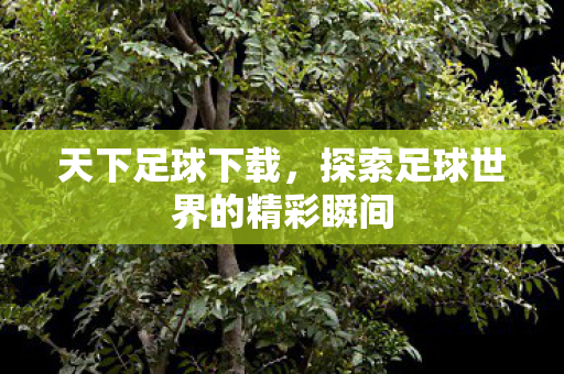 天下足球下载,探索足球世界的精彩瞬间 天下足球下载,探索足球世界的精彩瞬间