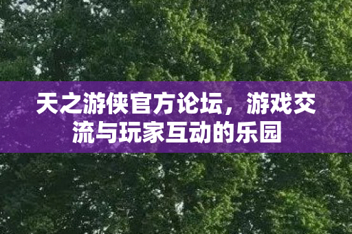 天之游侠官方论坛，游戏交流与玩家互动的乐园