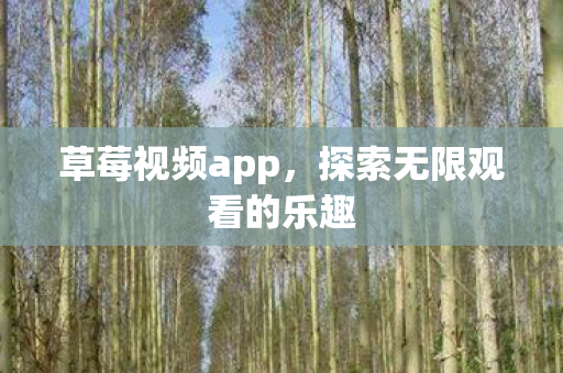 草莓视频app，探索无限观看的乐趣