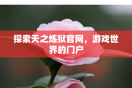 探索天之炼狱官网，游戏世界的门户