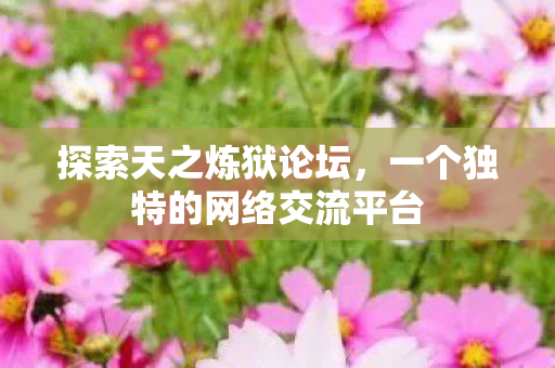 探索天之炼狱论坛,一个独特的网络交流平台 探索天之炼狱论坛,一个独特的网络交流平台