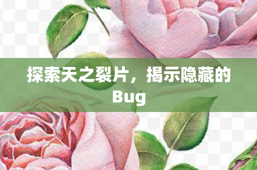 探索天之裂片，揭示隐藏的Bug