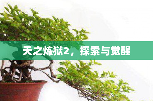 天之炼狱2，探索与觉醒