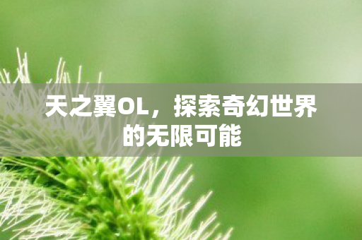 天之翼OL，探索奇幻世界的无限可能