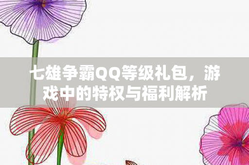 七雄争霸QQ等级礼包，游戏中的特权与福利解析