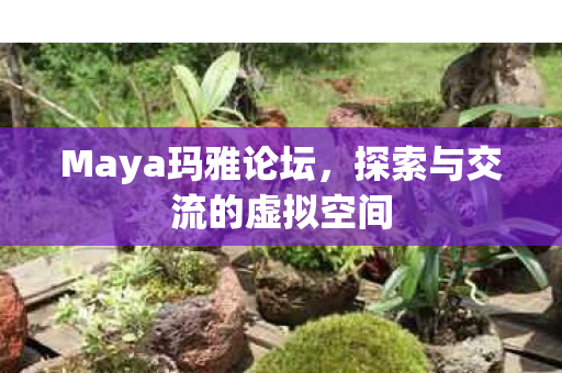 Maya玛雅论坛，探索与交流的虚拟空间