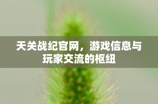 天关战纪官网，游戏信息与玩家交流的枢纽