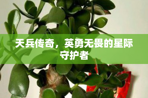 天兵传奇,英勇无畏的星际守护者 天兵传奇,英勇无畏的星际守护者