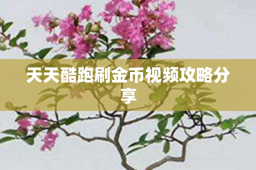 天天酷跑刷金币视频攻略分享 天天酷跑刷金币视频攻略分享