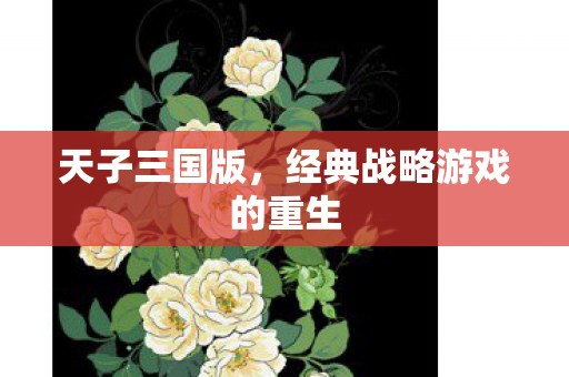 天子三国版,经典战略游戏的重生 天子三国版,经典战略游戏的重生