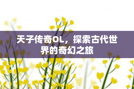 天子传奇OL，探索古代世界的奇幻之旅