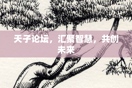 天子论坛，汇聚智慧，共创未来