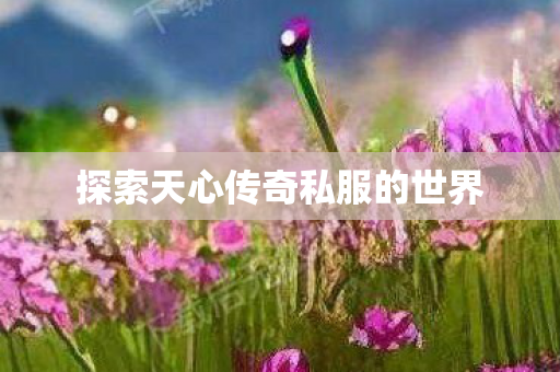 探索天心传奇私服的世界