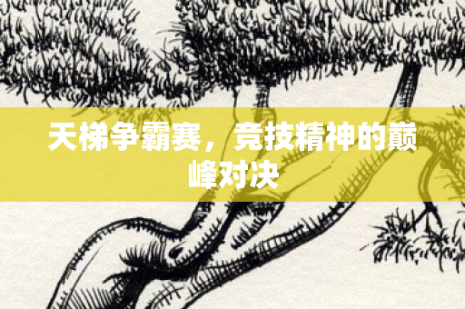 天梯争霸赛，竞技精神的巅峰对决