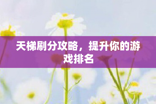 天梯刷分攻略,提升你的游戏排名 天梯刷分攻略,提升你的游戏排名