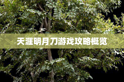 天涯明月刀游戏攻略概览