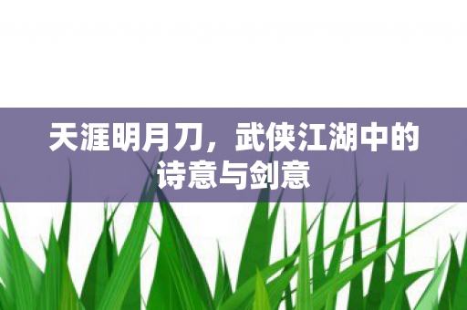 天涯明月刀,武侠江湖中的诗意与剑意 天涯明月刀,武侠江湖中的诗意与剑意