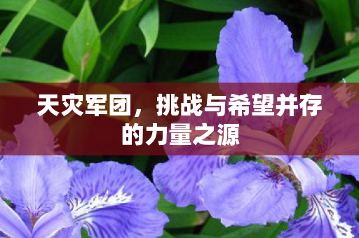 天灾军团,挑战与希望并存的力量之源 天灾军团,挑战与希望并存的力量之源