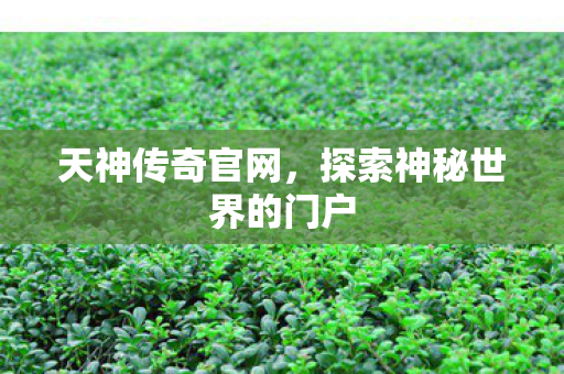 天神传奇官网,探索神秘世界的门户 天神传奇官网,探索神秘世界的门户