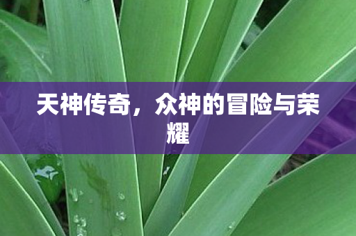 天神传奇,众神的冒险与荣耀 天神传奇,众神的冒险与荣耀