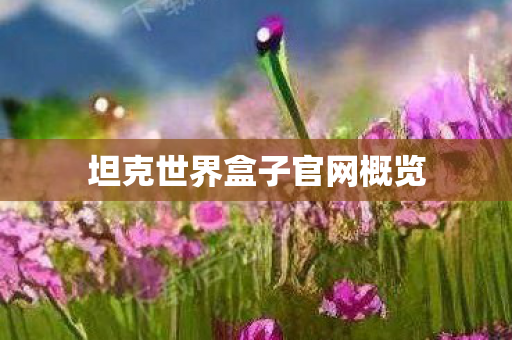 坦克世界盒子官网概览