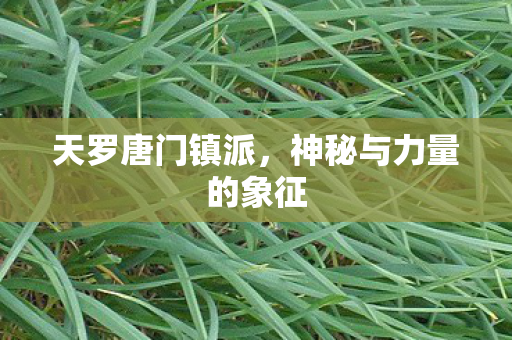 天罗唐门镇派,神秘与力量的象征 天罗唐门镇派,神秘与力量的象征