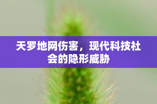 天罗地网伤害，现代科技社会的隐形威胁