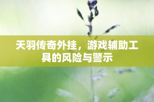 天羽传奇外挂，游戏辅助工具的风险与警示