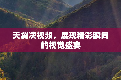 天翼决视频，展现精彩瞬间的视觉盛宴