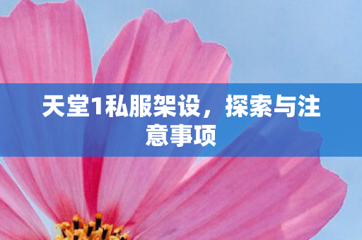 天堂1私服架设，探索与注意事项