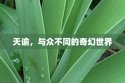 天谕,与众不同的奇幻世界 天谕,与众不同的奇幻世界