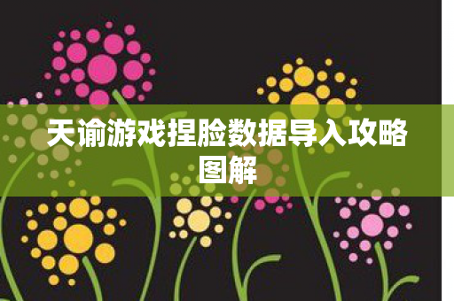 天谕游戏捏脸数据导入攻略图解 天谕游戏捏脸数据导入攻略图解