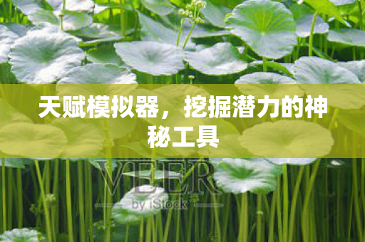 天赋模拟器,挖掘潜力的神秘工具 天赋模拟器,挖掘潜力的神秘工具