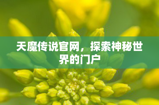 天魔传说官网，探索神秘世界的门户