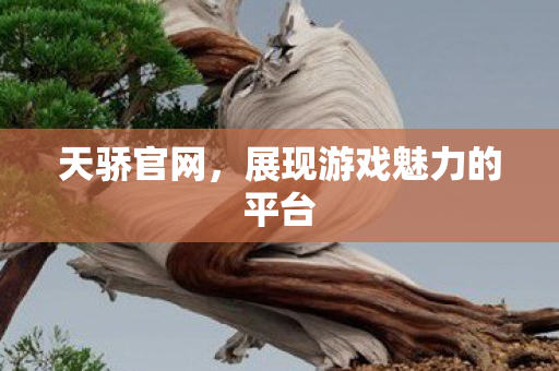 天骄官网，展现游戏魅力的平台