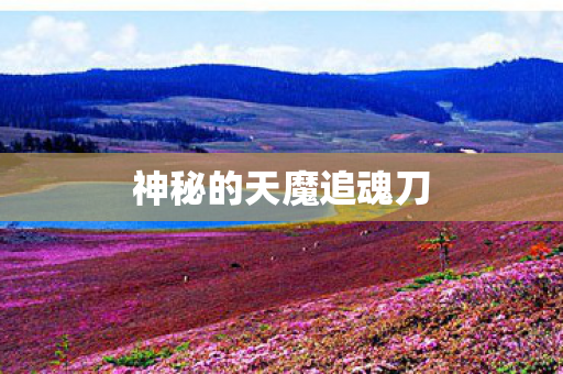 神秘的天魔追魂刀