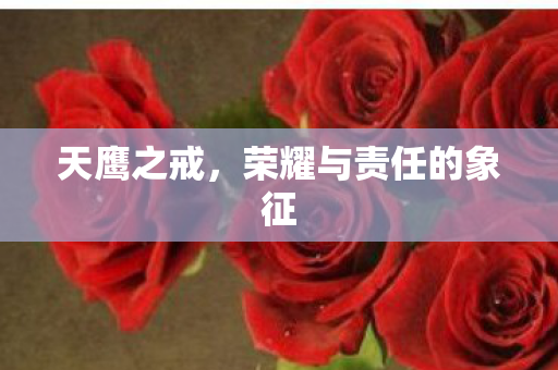 天鹰之戒，荣耀与责任的象征