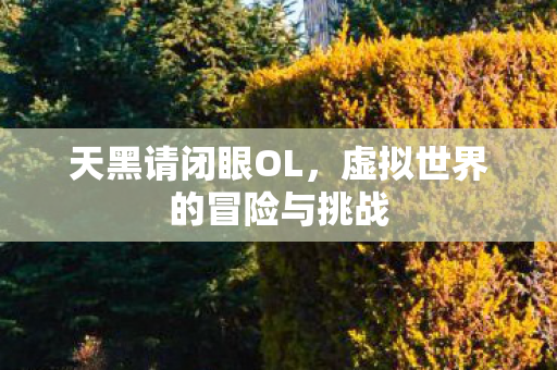 天黑请闭眼OL,虚拟世界的冒险与挑战 天黑请闭眼OL,虚拟世界的冒险与挑战