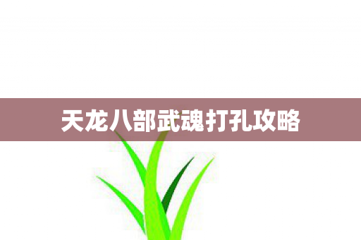 天龙八部武魂打孔攻略 天龙八部武魂打孔攻略