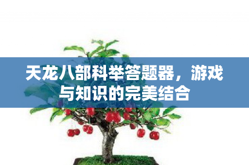 天龙八部科举答题器，游戏与知识的完美结合